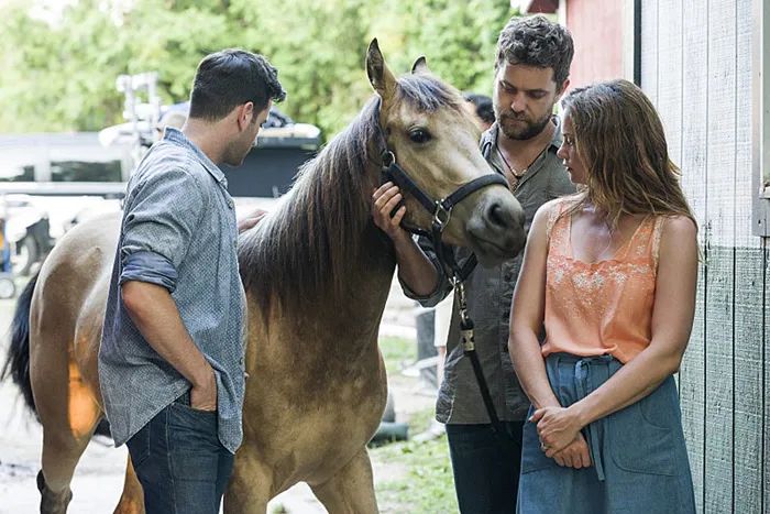 With a buckskin horse by the barn in The Affair