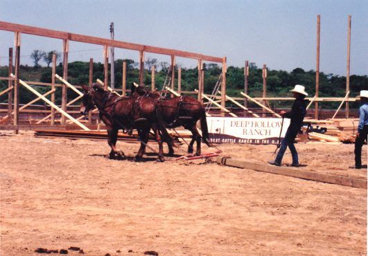 Barn raising, 1980s