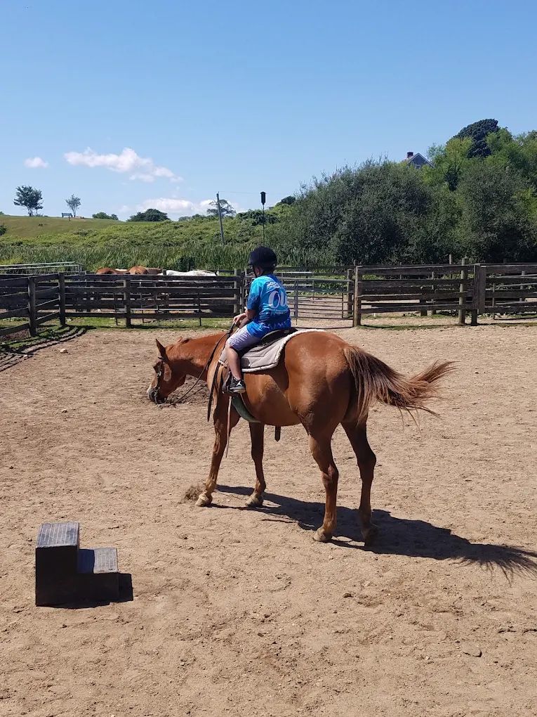 A young rider in the ring
