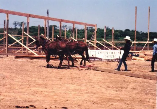 Barn raising, 1980s