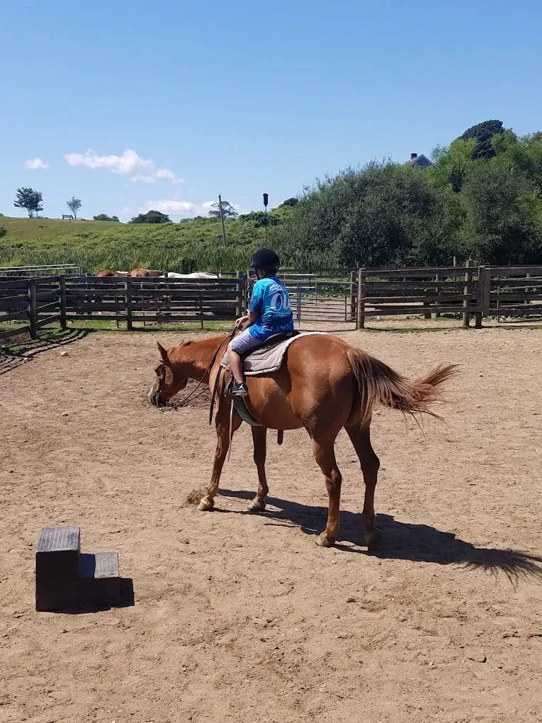 A young rider in the ring